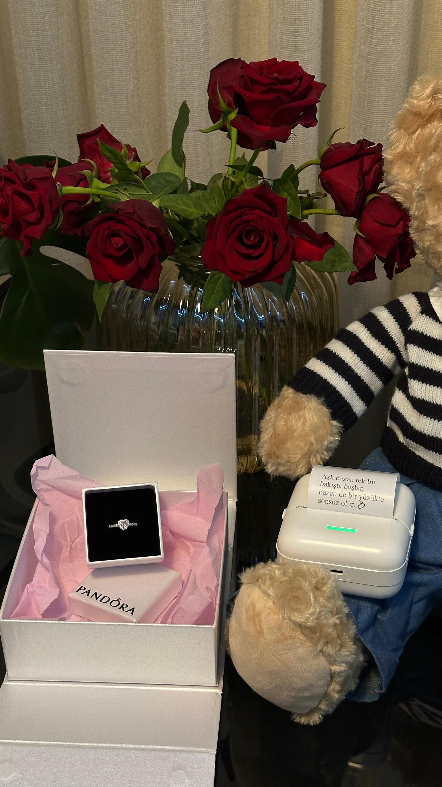 PANDORA KUTUSU İÇİNDE CİDDİ İLİŞKİ YÜZÜĞÜ
